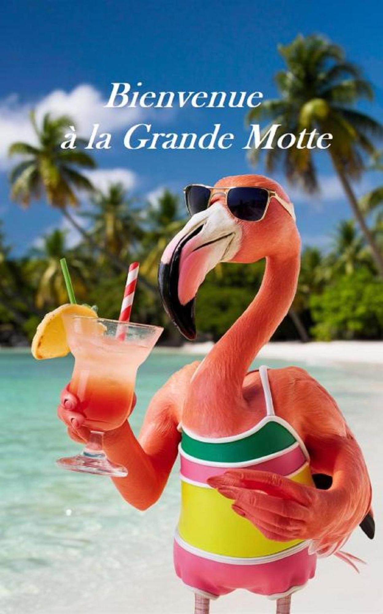 Mes Vacances A La Mer Studio 4 Pers, Parking Prive, Wifi, Linges Fournis, Climatisation 拉格朗德默特 外观 照片